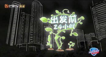 刘伯温期期准资料大全资料大|科学分析解释落实_储蓄制.6.768