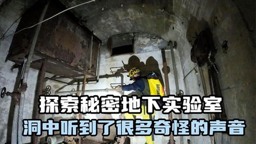 王中王免费资料大全大公开|深入分析科技相关成语的内涵_双语集.6.46