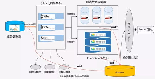 2024新奥历史开奖记录98期|探索新机遇的未来之路_贵宾版.3.329