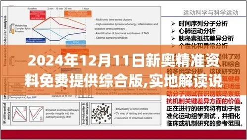 2024新奥新免费资料|效率资料解释落实_创新版.7.601