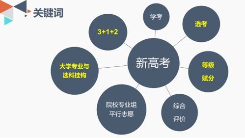 今晚必出三肖|深入数据解释落实_综合版.5.643