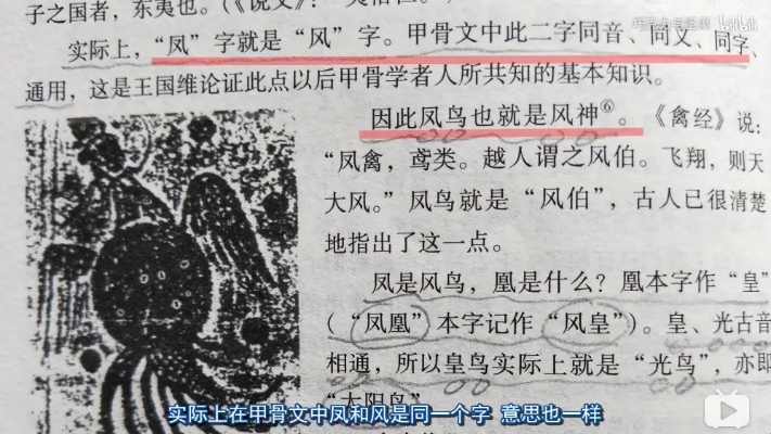 7777788888王中王凤凰巢|探索语言中动态词汇的意义_钻石品.3.226