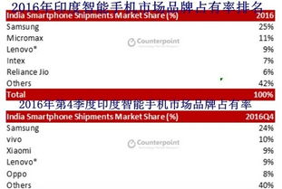 三肖必中三期必出凤凰|考试释义深度解读与落实_旗舰版IPHONE.9.817