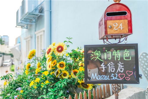 新澳天天彩正版资料的背景故事|探索城市新风尚与秘密角落_watchOS.3.26