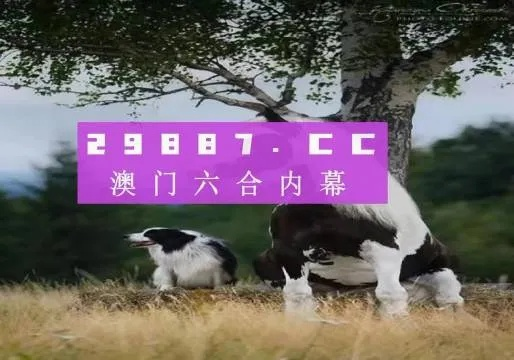 2024正版资料澳门跑狗图|现状分析解释落实_历史集.4.143