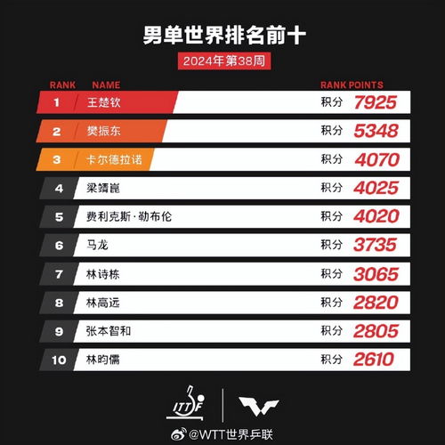 2024澳门六今晚开奖结果出来|实地调研解释落实_极速版.0.809