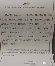 2023澳门特马今晚开奖一|实证研究解释落实_R版.4.249