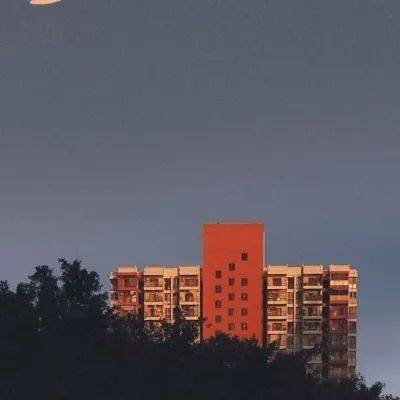 2024年新奥门天天开彩|实地调研解释落实_娱乐款.5.324