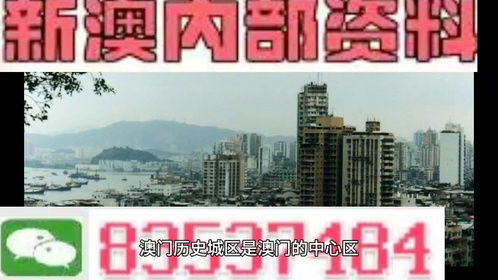 澳门精准挂牌资料大全软件|探索生活中的小奇迹_社交版.8.669