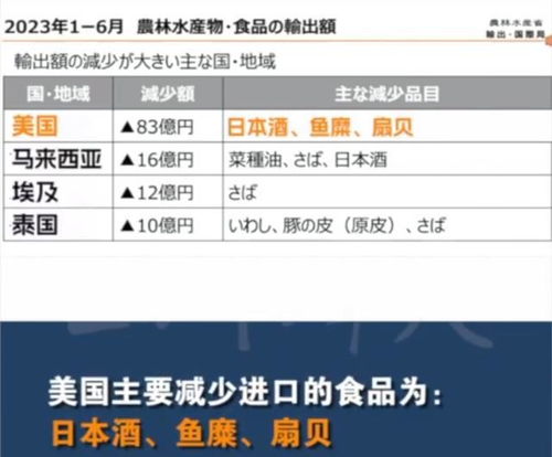 2024年澳门天天开好彩精准免费大全|统计分析解释落实_经典版HS.5.220