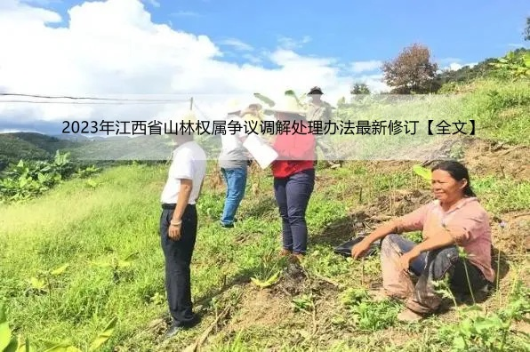王权山最新消息2024年|科学依据解释落实_精粹版.6.470