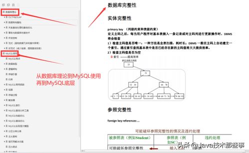 澳门宝典2024年最新版免费|经典理论的有效解读与应用_工具包.2.50