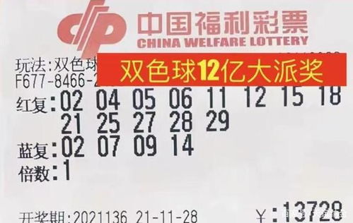 2023澳门天天彩期期精准|探索未知的奇妙世界_共享型.7.296