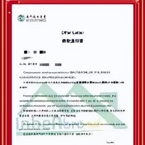 2023澳门开奖结果今晚1期|多元化方案执行策略_创新品.0.927