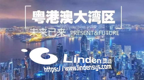 2024年澳门六盒资料免费大全|探索城市隐秘角落的魅力_订制版.4.269
