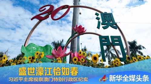 2024年澳门天天彩免费大全|奇妙探索生活中的隐秘乐趣_网红版Meituan.6.629