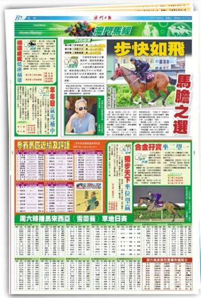2024年澳门特马今晚号码|统计解答解释落实_创新版8.118