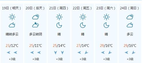 2024生肖排码表 正宗版|探索城市新风尚与秘密角落_终端款.0.617