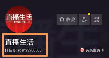 报码+本港台同步直播|畅享生活的每一天_水晶集.7.736