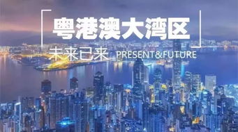 新澳门最近开奖记录查询|探索城市文化的独特魅力_Lite.9.728