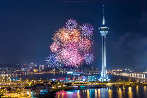 澳门码表2024最新版下载|探索未知的美丽旅程_智慧款.5.208