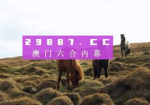 2024新奥门三肖中特资料最精准|探寻生活中的小确幸_学习款.5.320